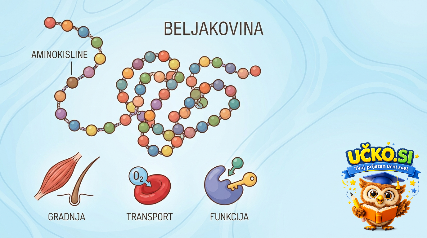 Ilustracija: Beljakovine