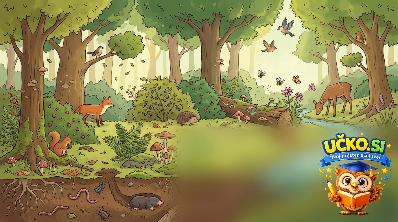 Ilustracija: Gozd kot primer življenjske skupnosti
