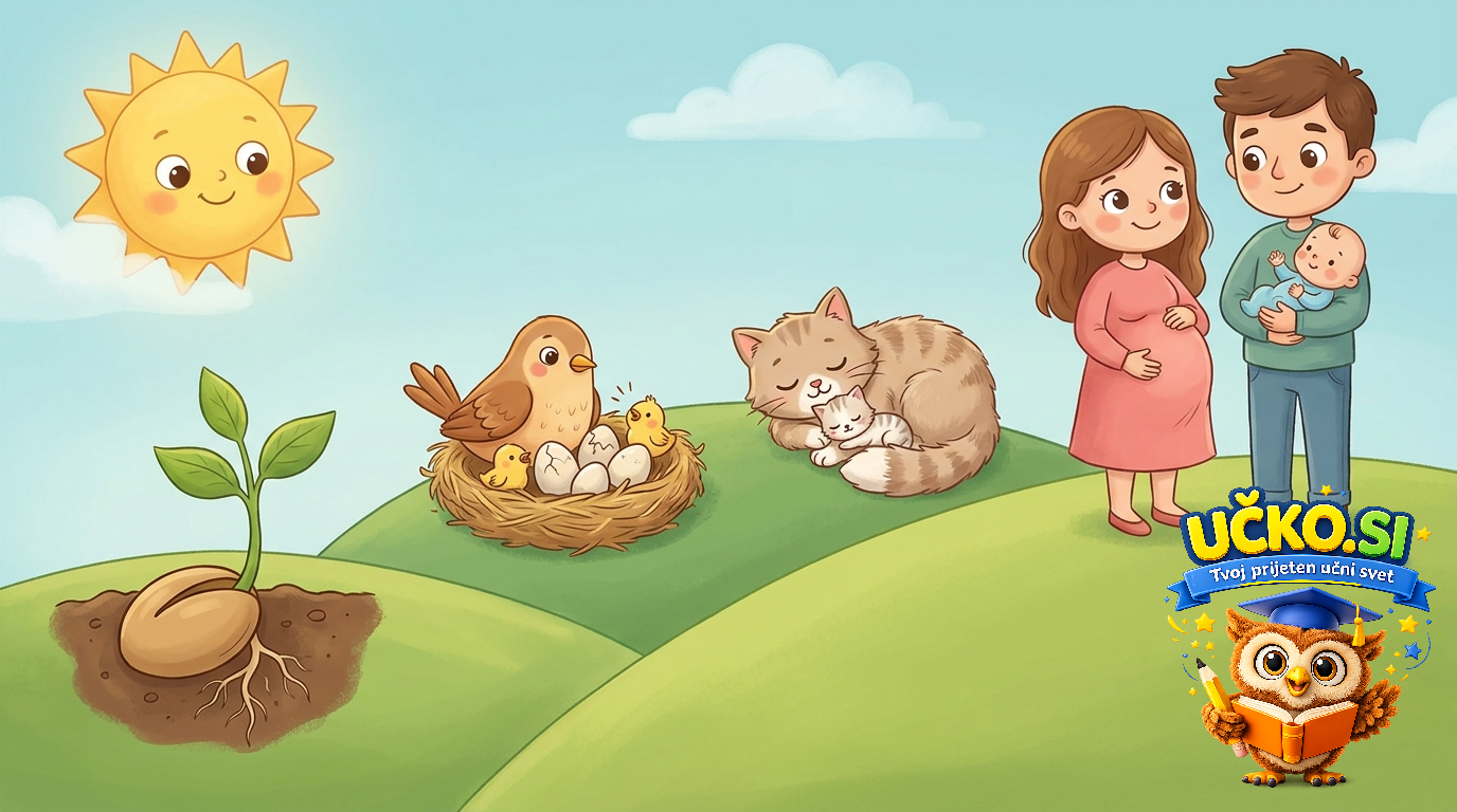 Ilustracija: Kako nastane novo življenje