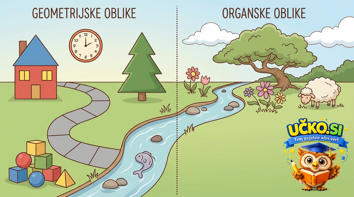 Ilustracija: Osnovne geometrijske in organske oblike