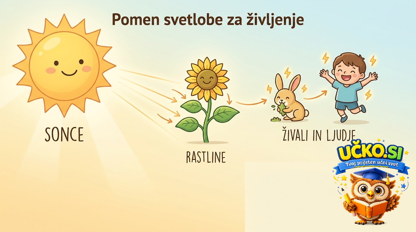 Ilustracija: Pomen svetlobe za življenje